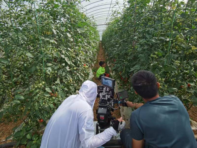 郧县产品宣传视频拍摄公司进阶指南，助力品牌抢占传播高地